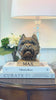 Realistic Yorkshire Terrier dog statue displayed under a table lamp next to white flowers — symbolizing Everpaw Co.’s dedication to honoring pet memories with love.